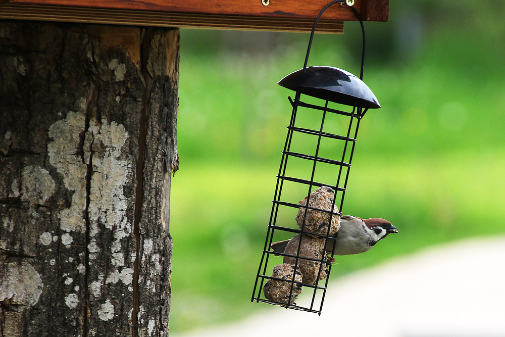 zum Abflug bereit