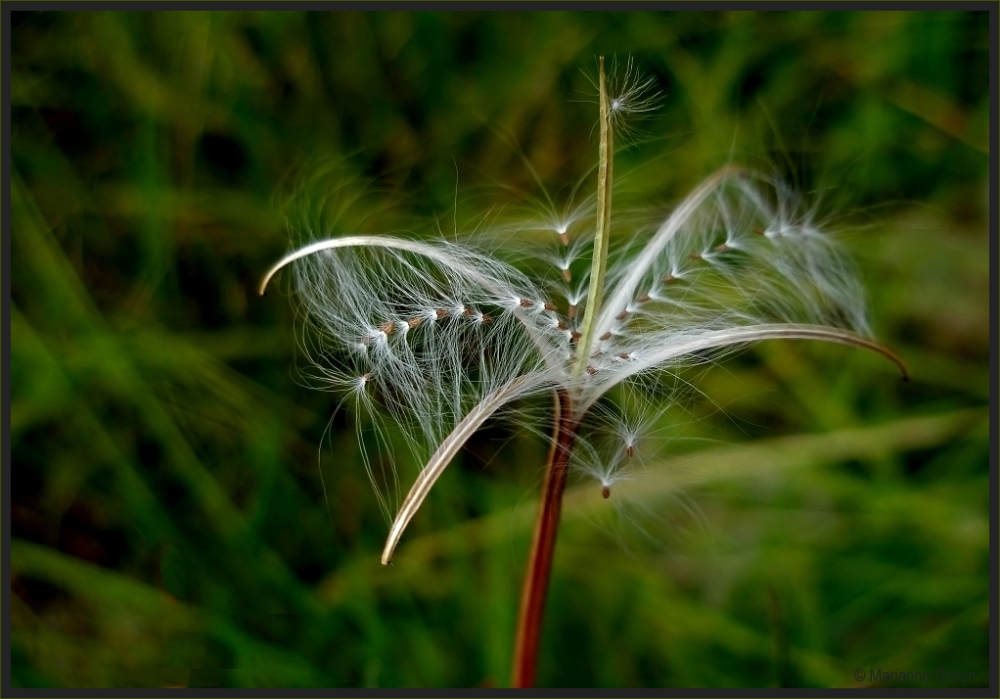 Zum Abflug bereit...