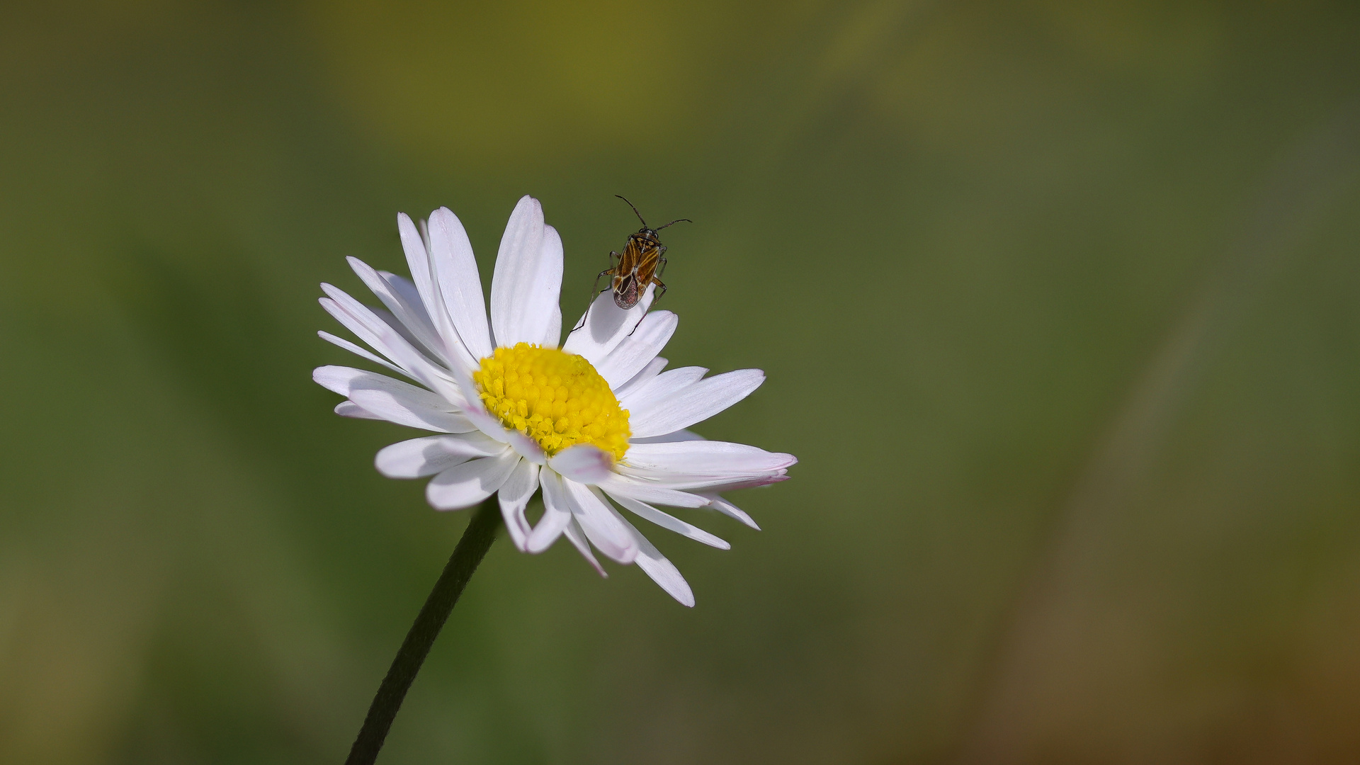 zum Abflug bereit.....