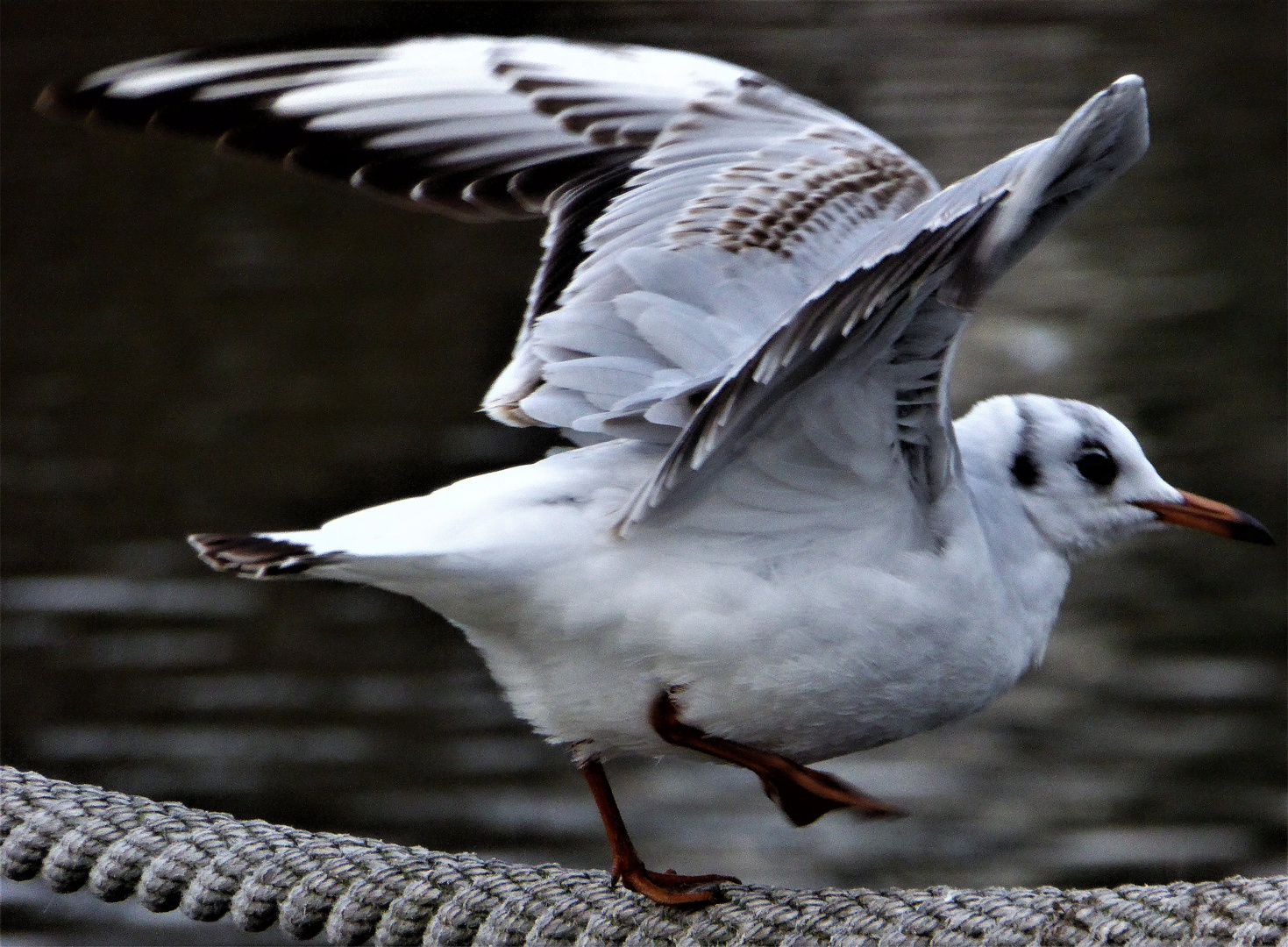 Zum Abflug bereit 