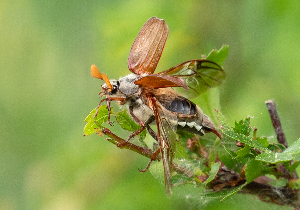 zum abflug bereit