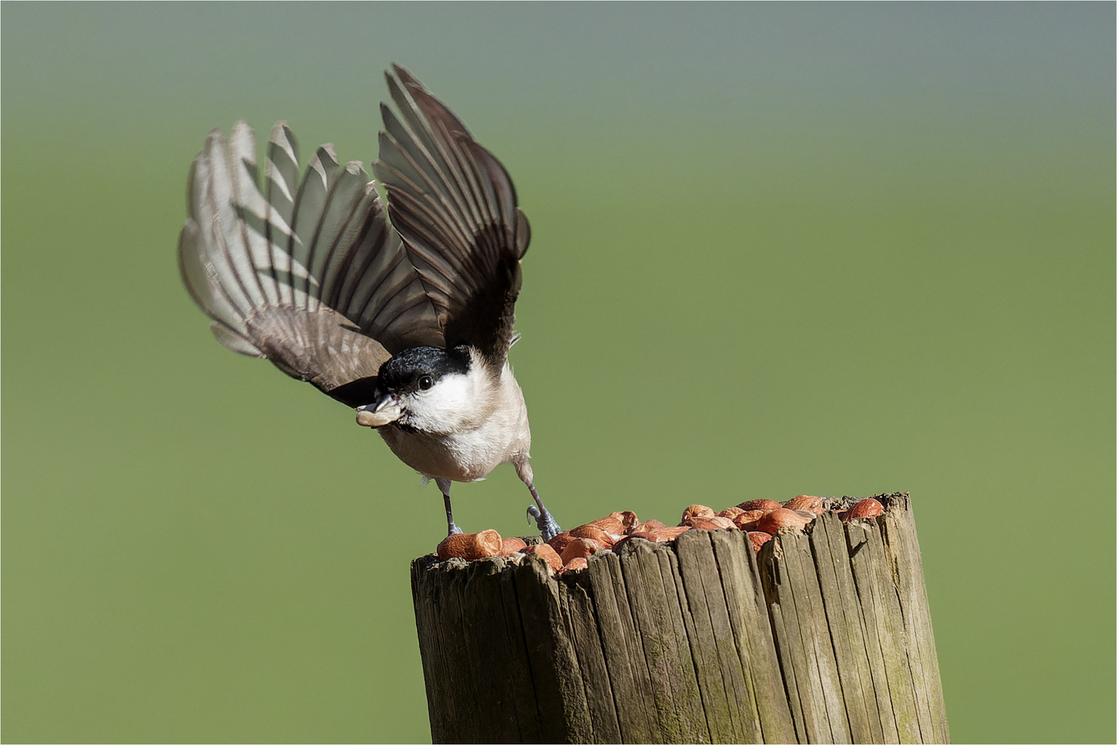 zum Abflug bereit  .....