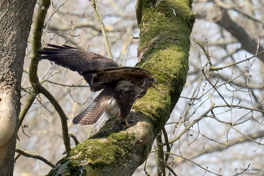 Zum Abflug bereit