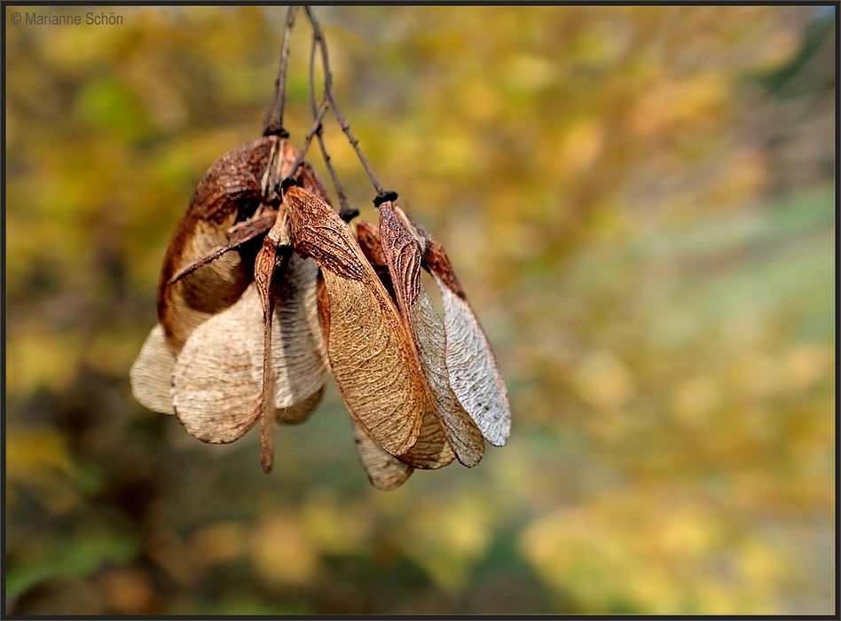 Zum Abflug bereit...