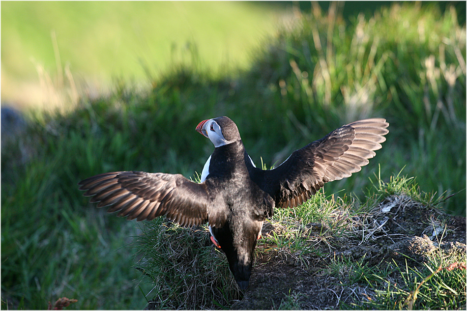 Zum Abflug bereit