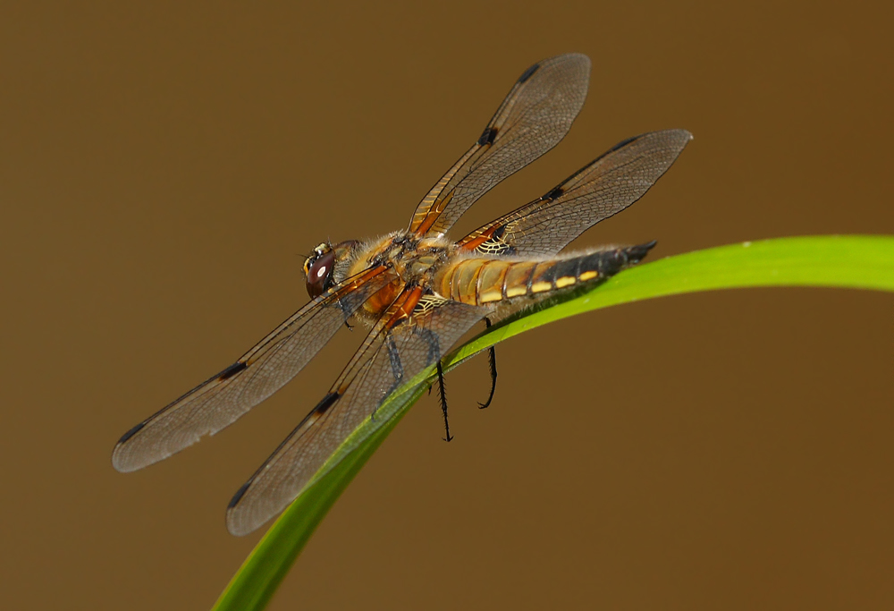 Zum Abflug bereit