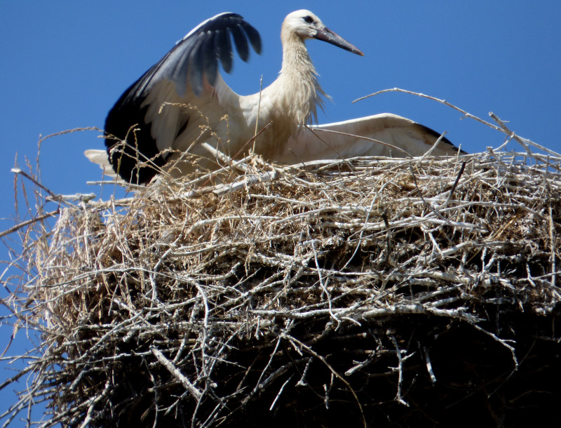 zum Abflug bereit