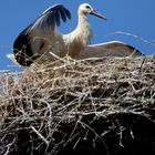 zum Abflug bereit