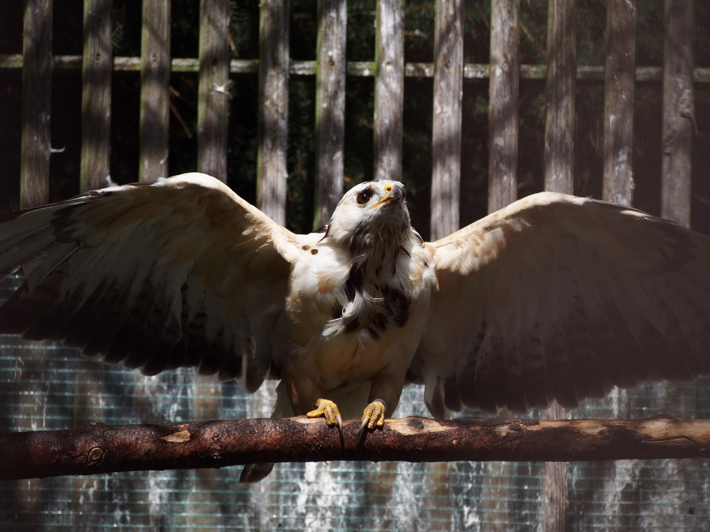 zum Abflug bereit