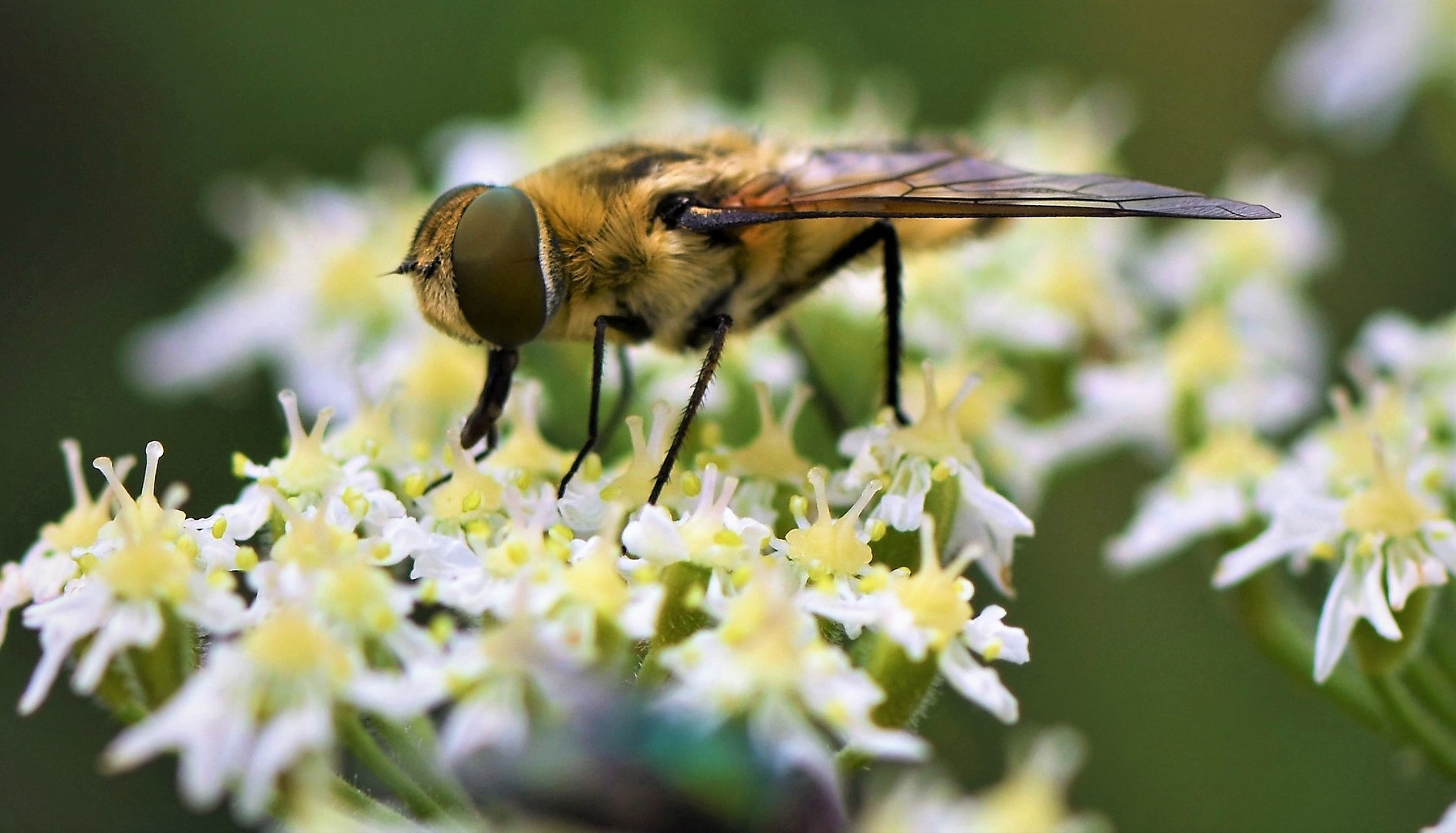 Zum Abflug bereit