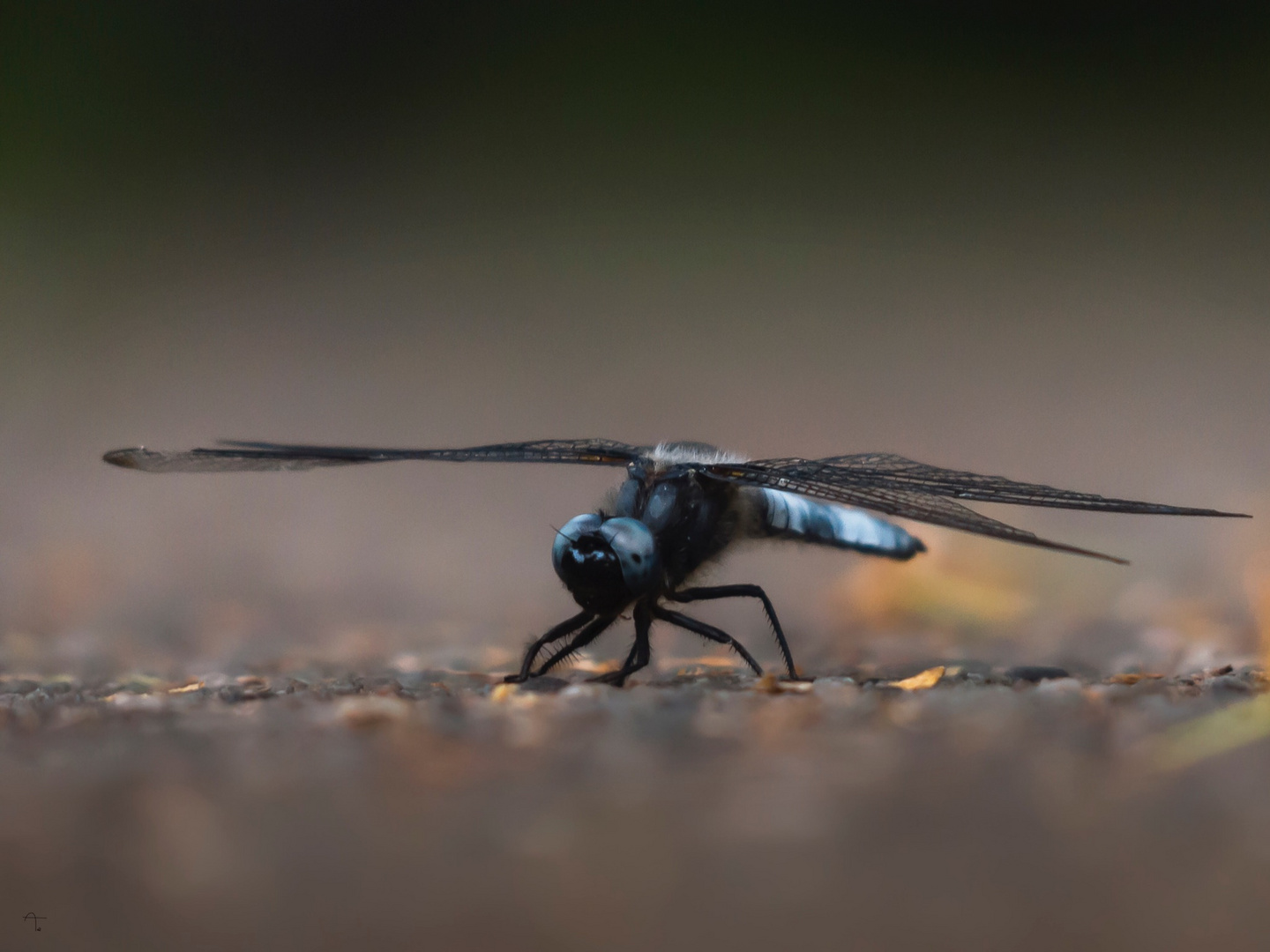 Zum Abflug bereit