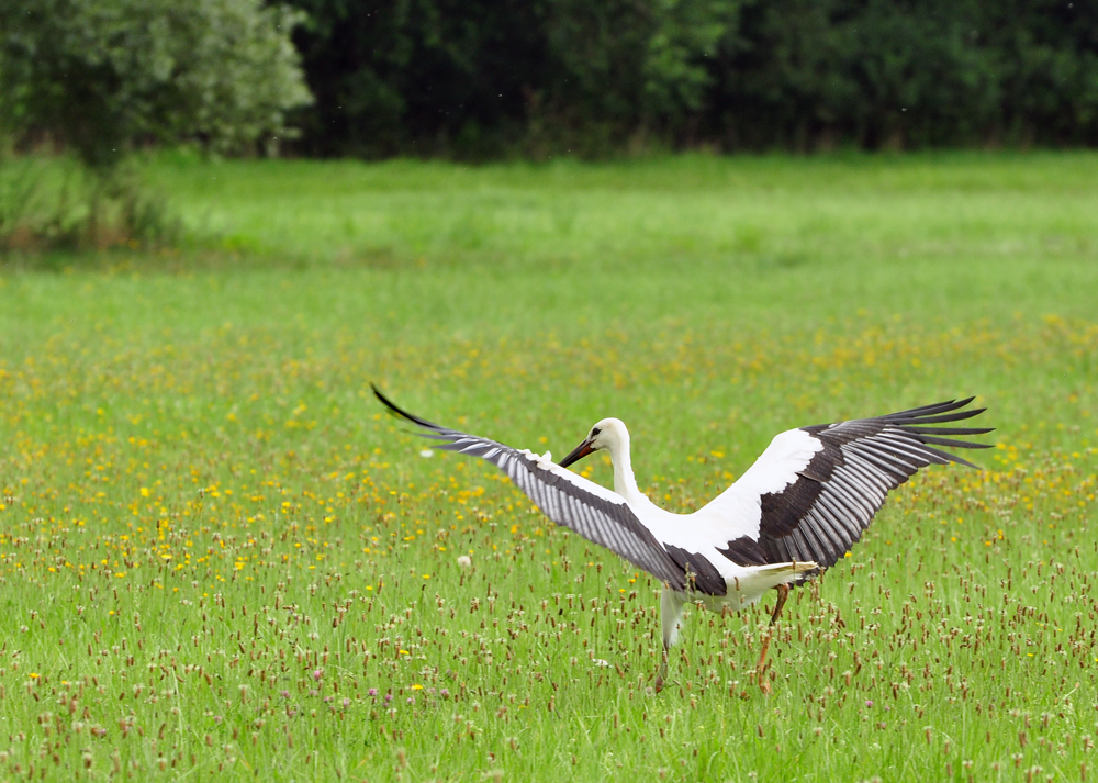 zum Abflug bereit