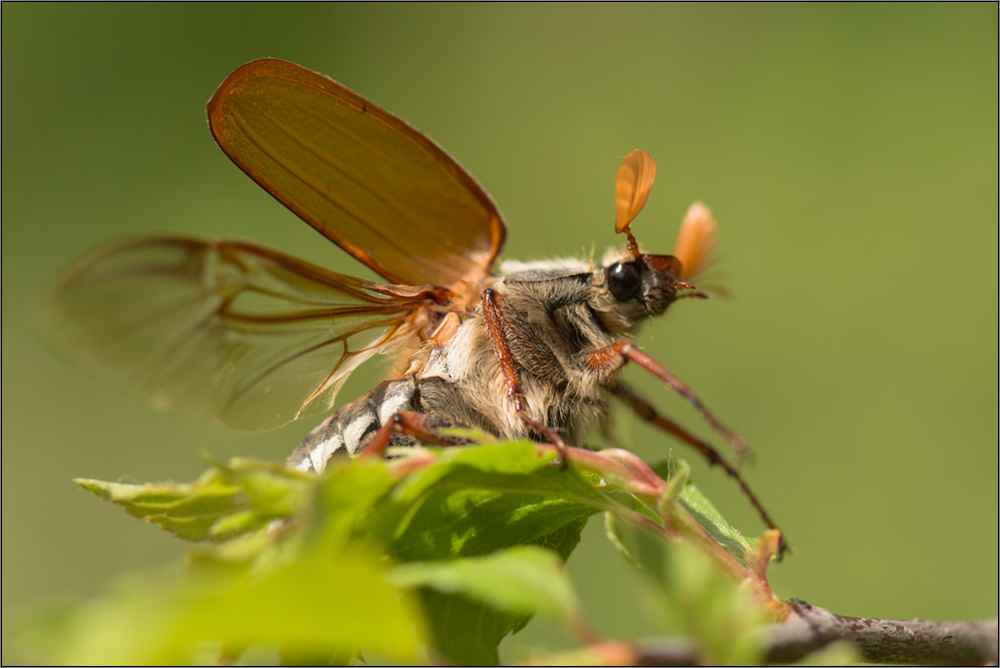 zum abflug bereit