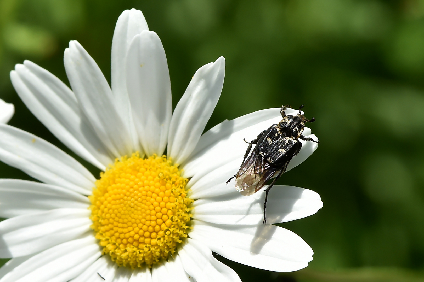 Zum Abflug bereit