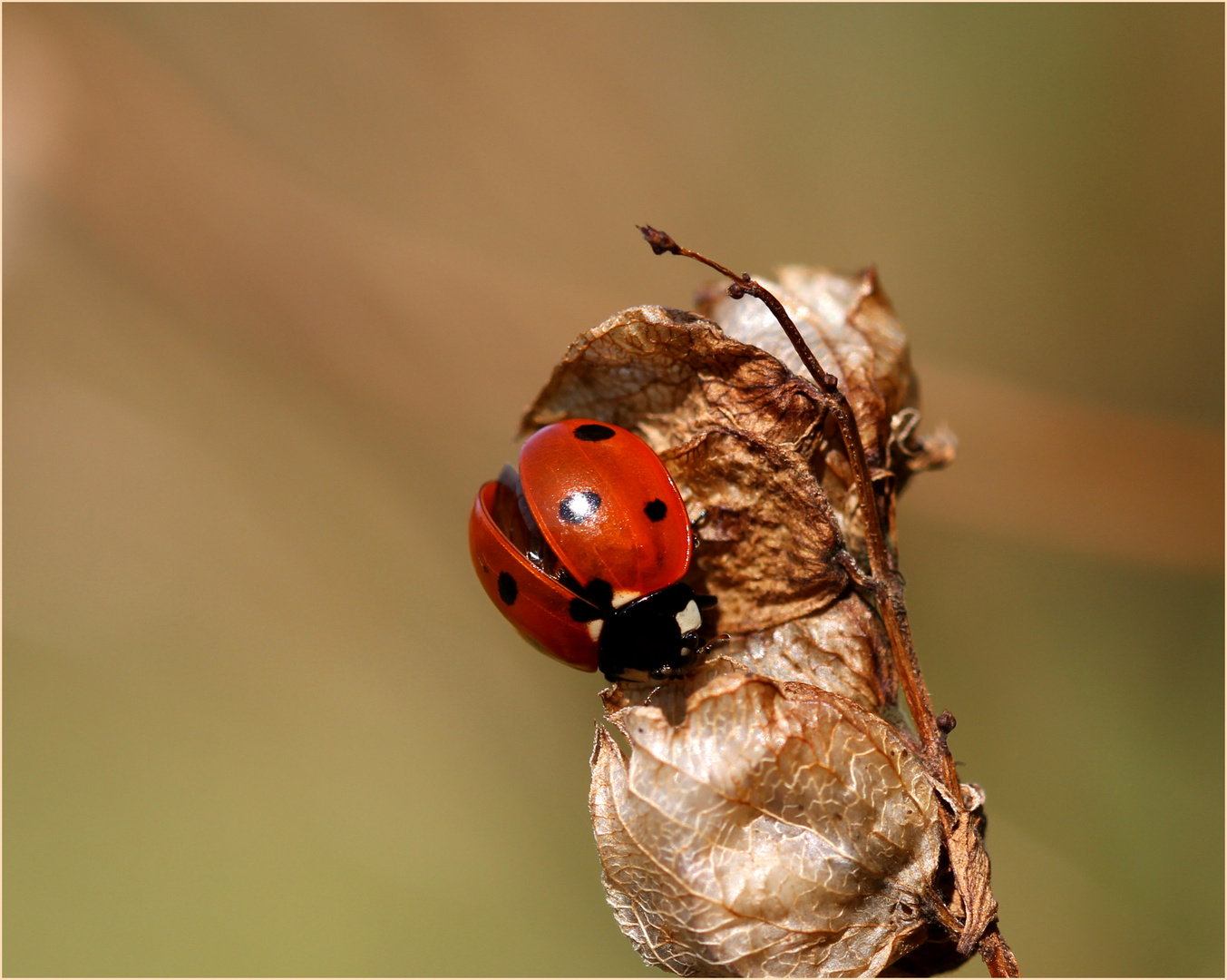 Zum Abflug bereit.