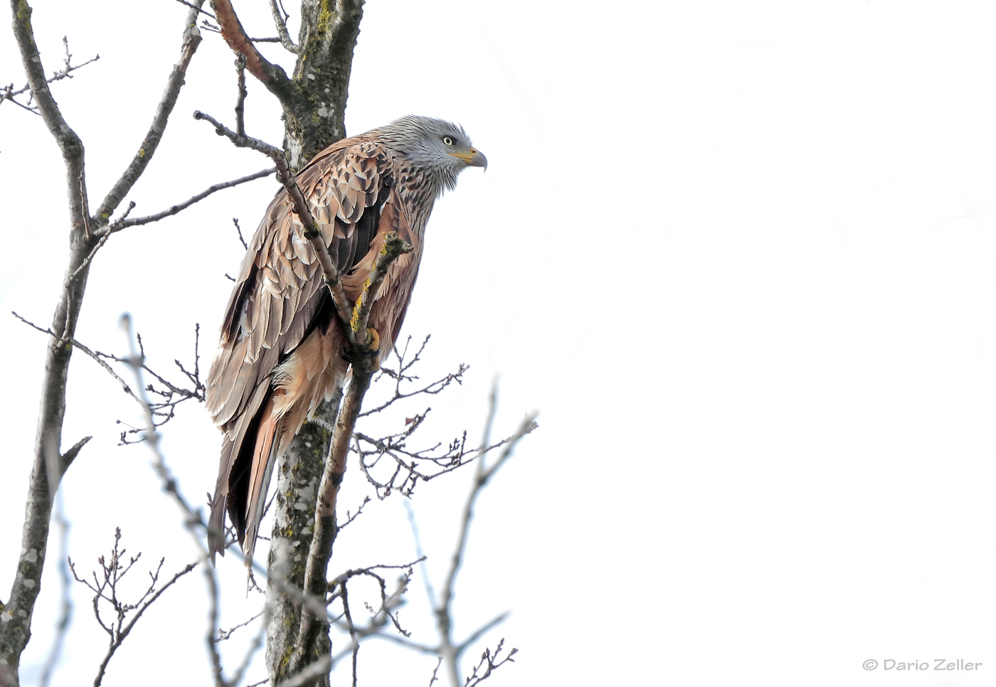 Zum Abflug bereit