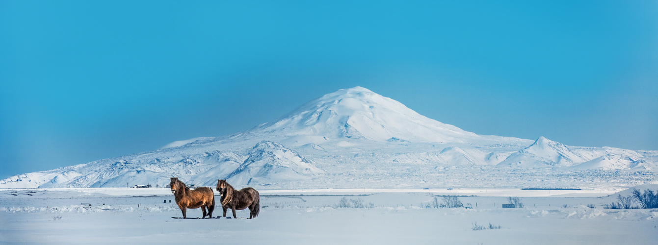 Zum Abkühlen: Die Hekla...