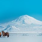 Zum Abkühlen: Die Hekla...