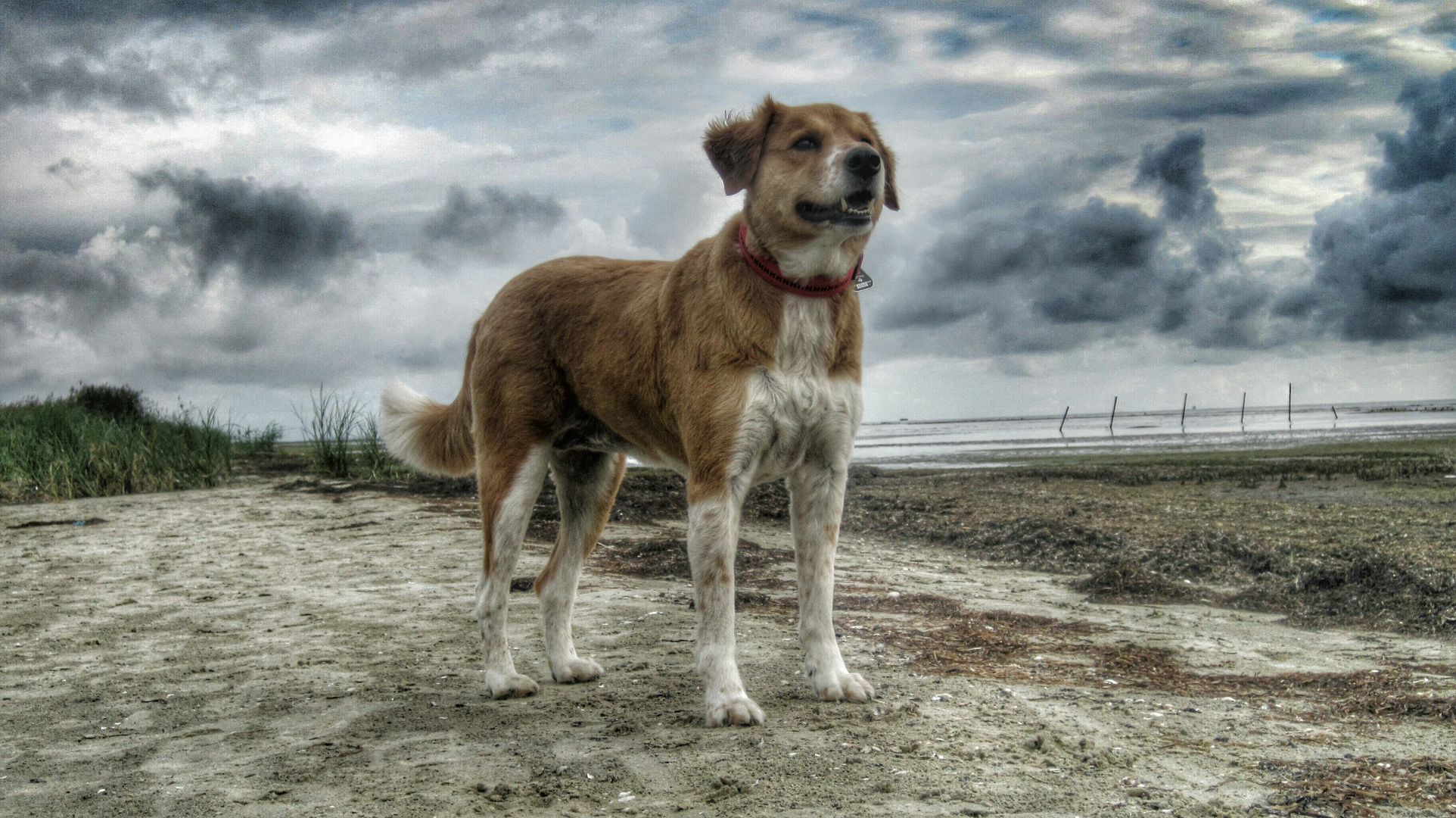 Zum Abschied in HDR