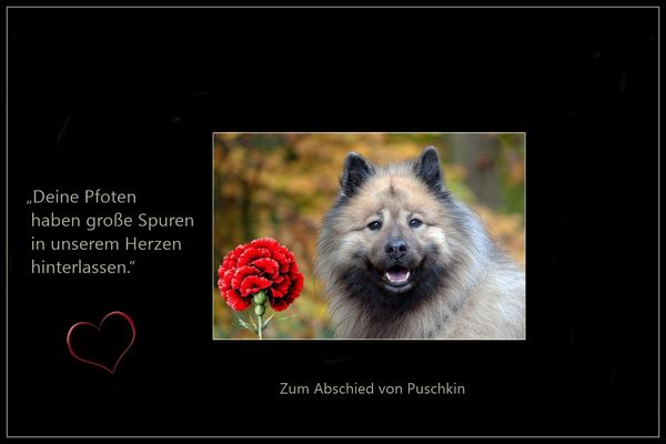 Zum Abschied von Puschkin ...