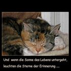 Zum Abschied von Sophie-Marie ...