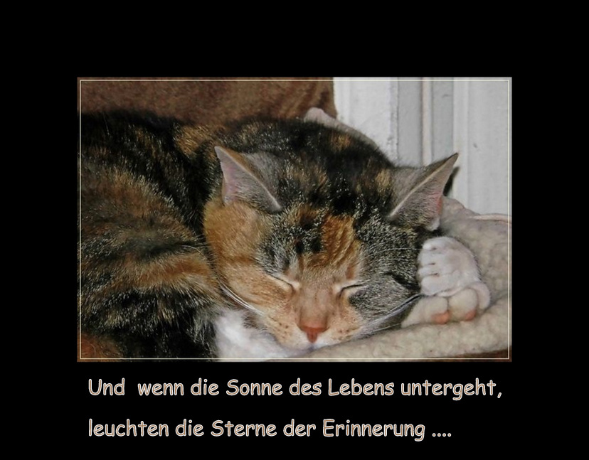 Zum Abschied von Sophie-Marie ...