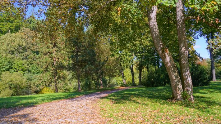 zum Abschluß des 01.10.25 noch ein Motiv aus dem Schloßpark