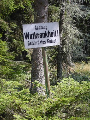 Zum Ärgern - ab in den Wald!