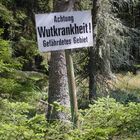 Zum Ärgern - ab in den Wald!