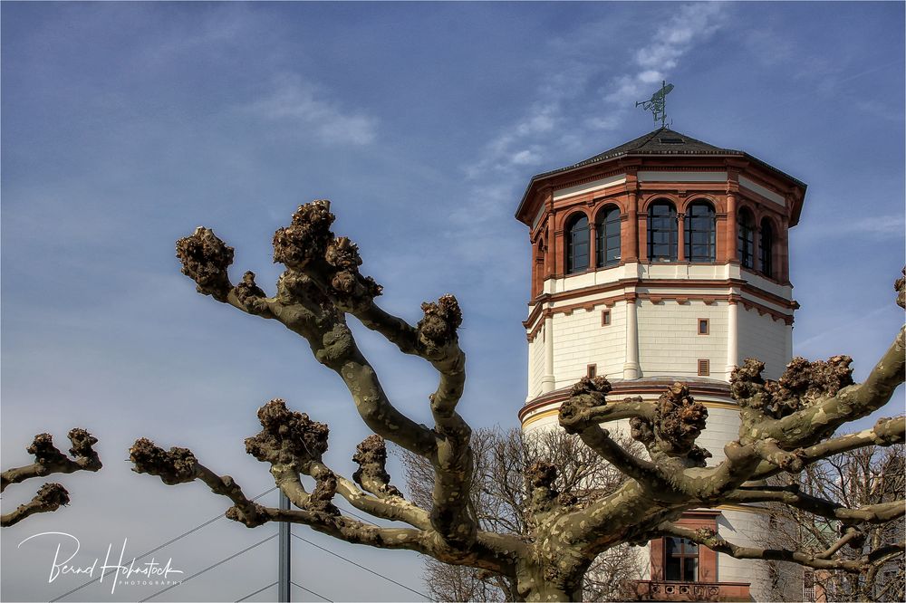 zum alten Schlossturm ....