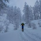 Zum Angerkogel im Toten Gebirge