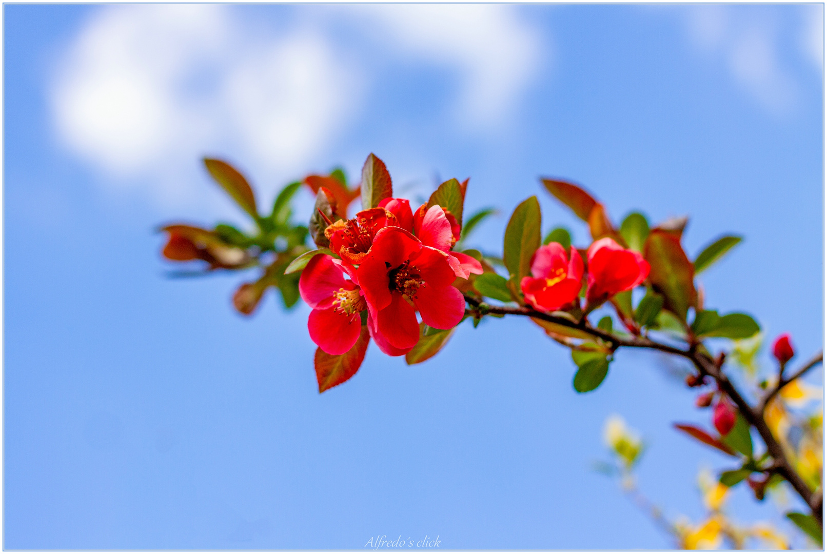 Zum Blauen Himmel*