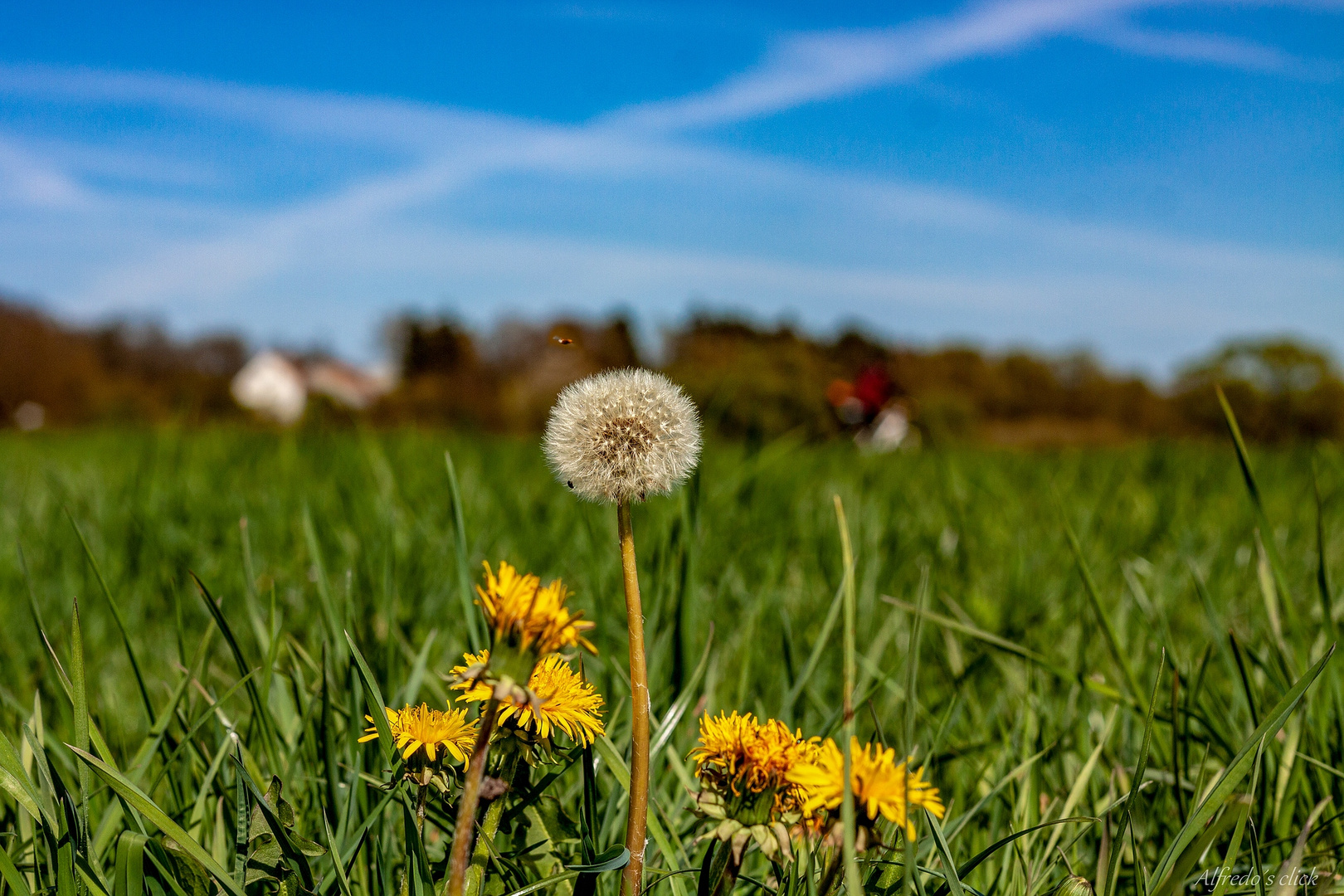 Zum Blauen Himmel*