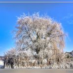  zum blauen Montag 28.02.2022