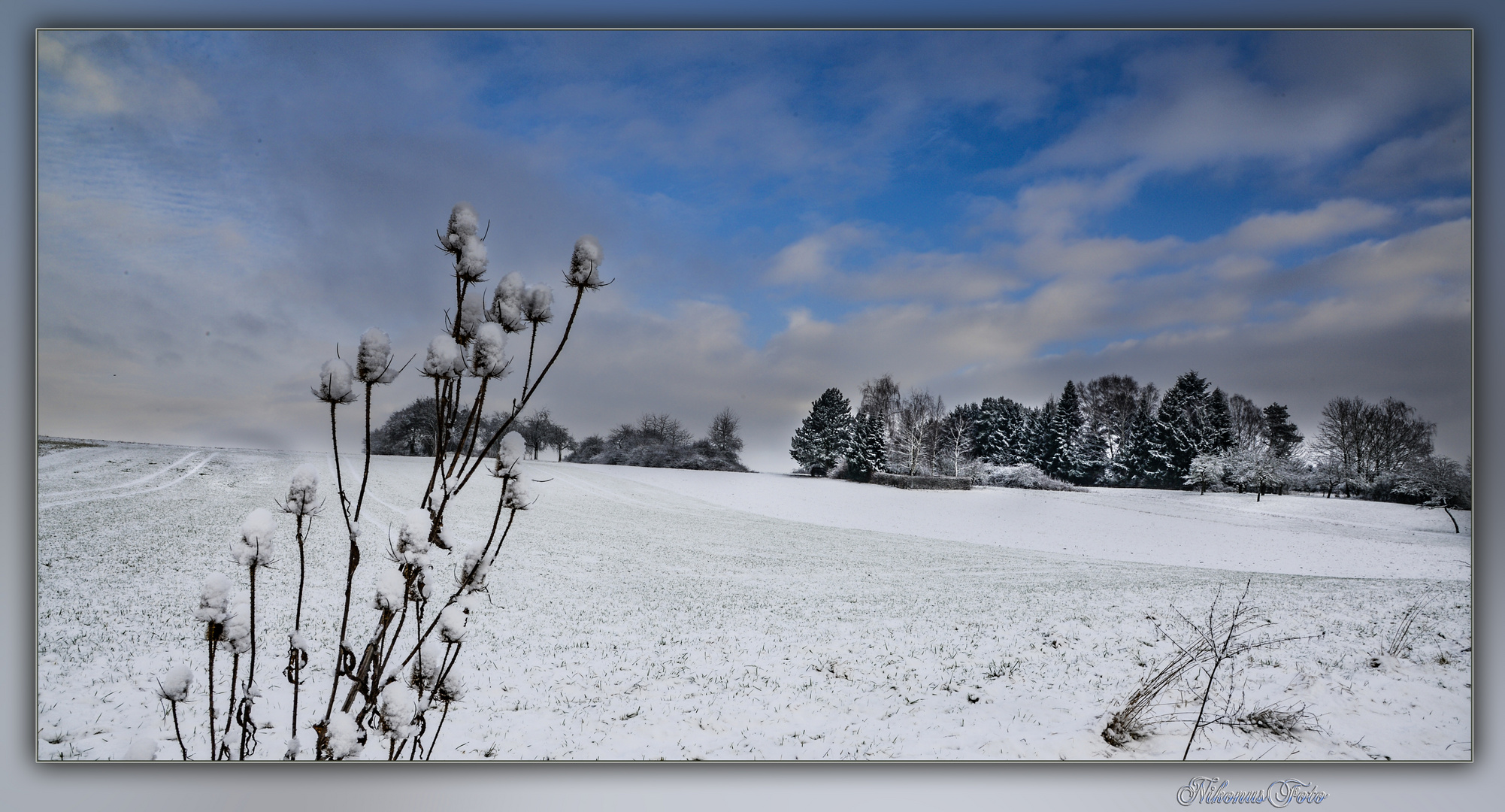 zum blauen Montag am 23.02.2023