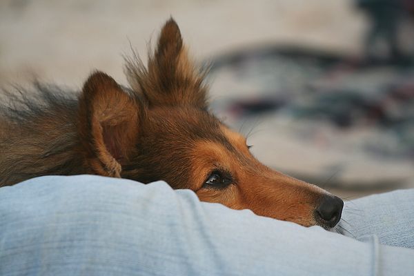 Zum dahin schmelzen.....