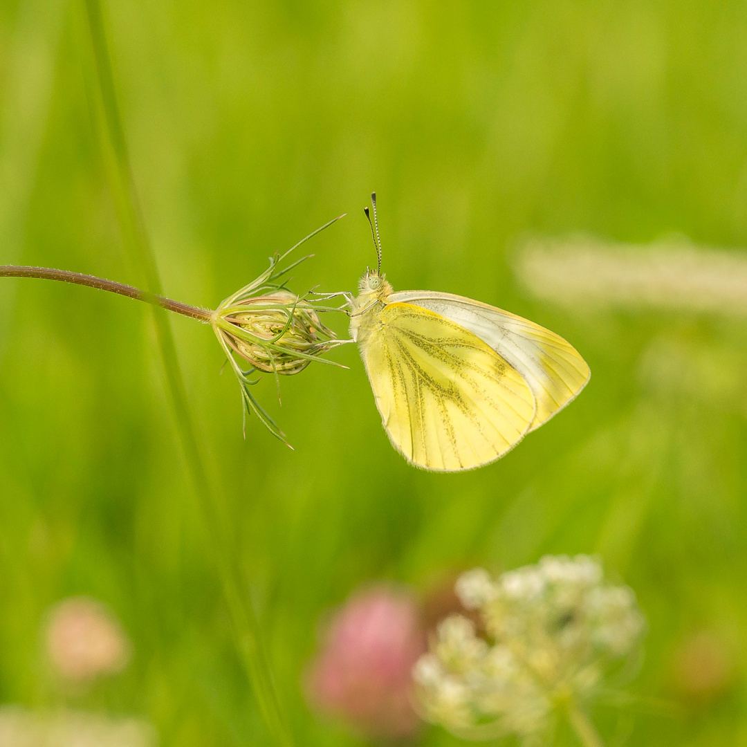 zum Ende der Sommerzeit 