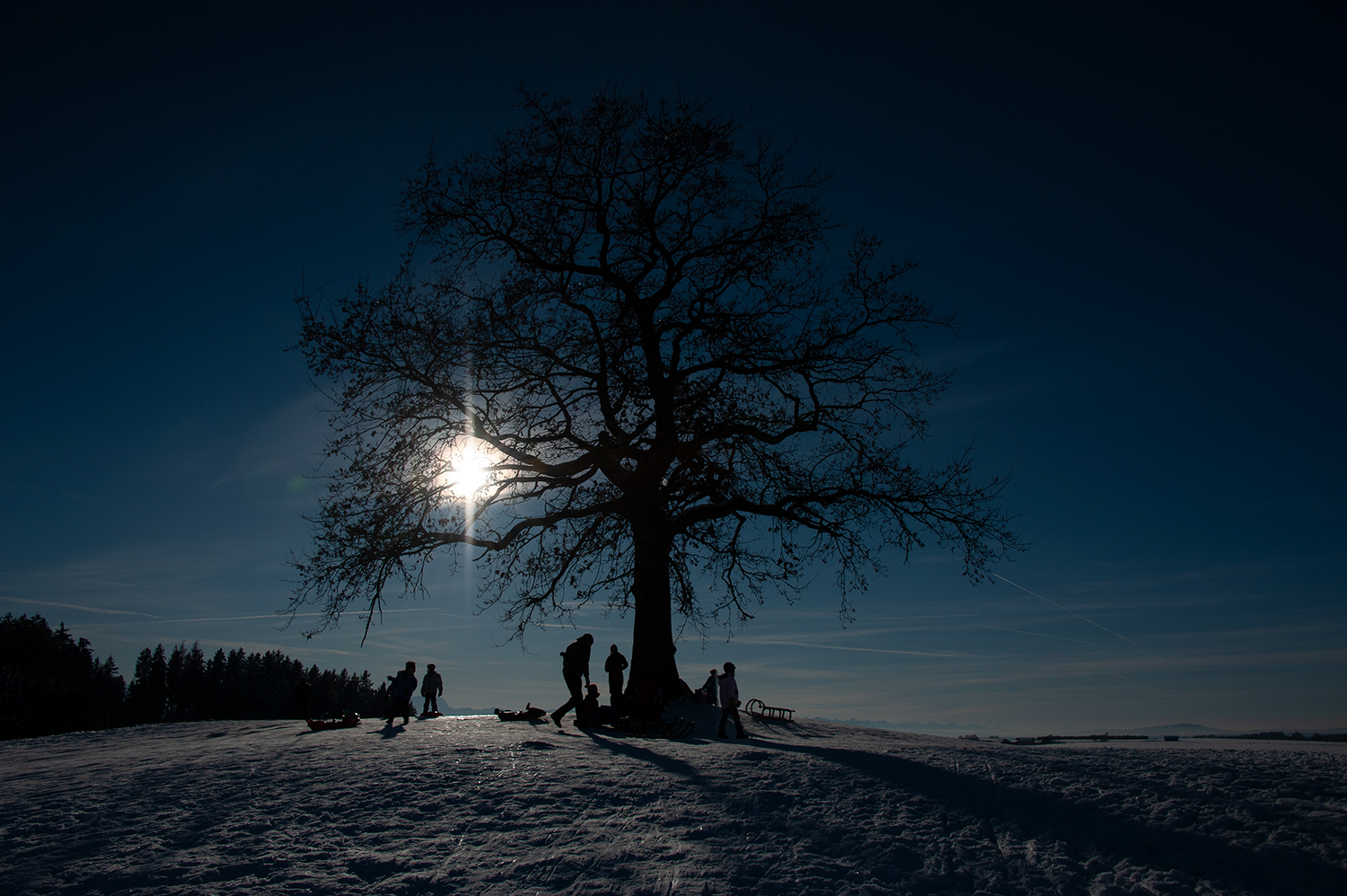 Zum Ende meiner hivernalen Trilogie ein Winterbuidl für Euch