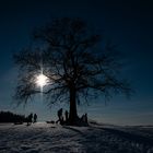 Zum Ende meiner hivernalen Trilogie ein Winterbuidl für Euch