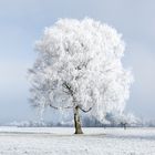 Zum Ende zeigt sich das Jahr 2016 nochmals von seiner schönsten Seite