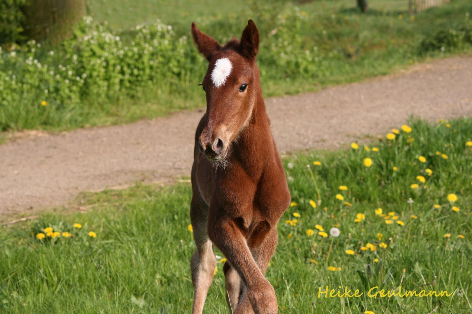 Zum ersten Mal ohne Mama unterwegs :)