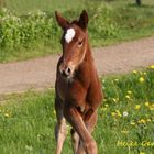 Zum ersten Mal ohne Mama unterwegs :)