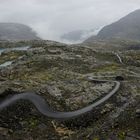 Zum Folgefon-Gletscher