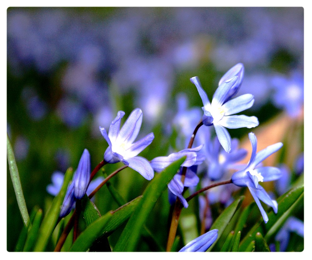 Zum Frühling Farbe bekennen