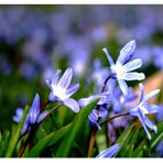 Zum Frühling Farbe bekennen