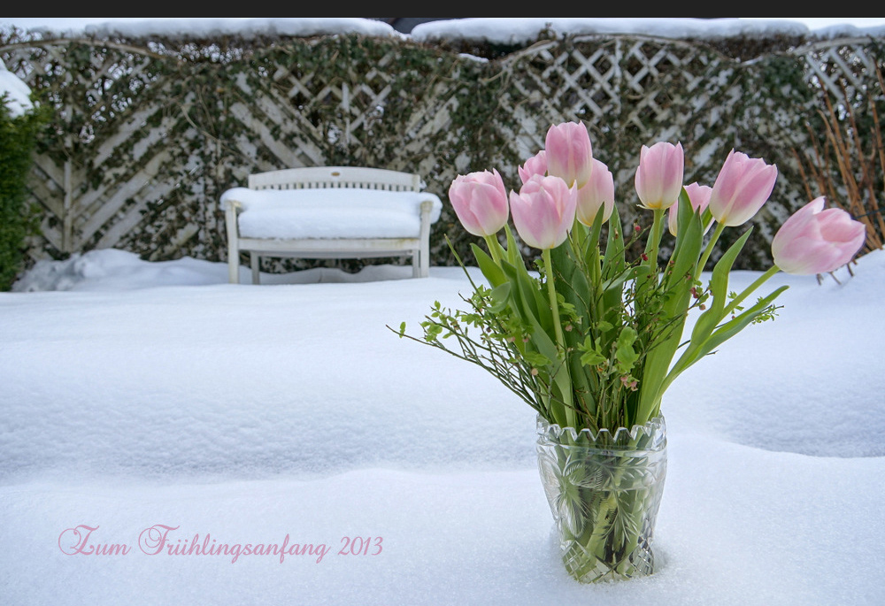 Zum Frühlingsanfang 2013