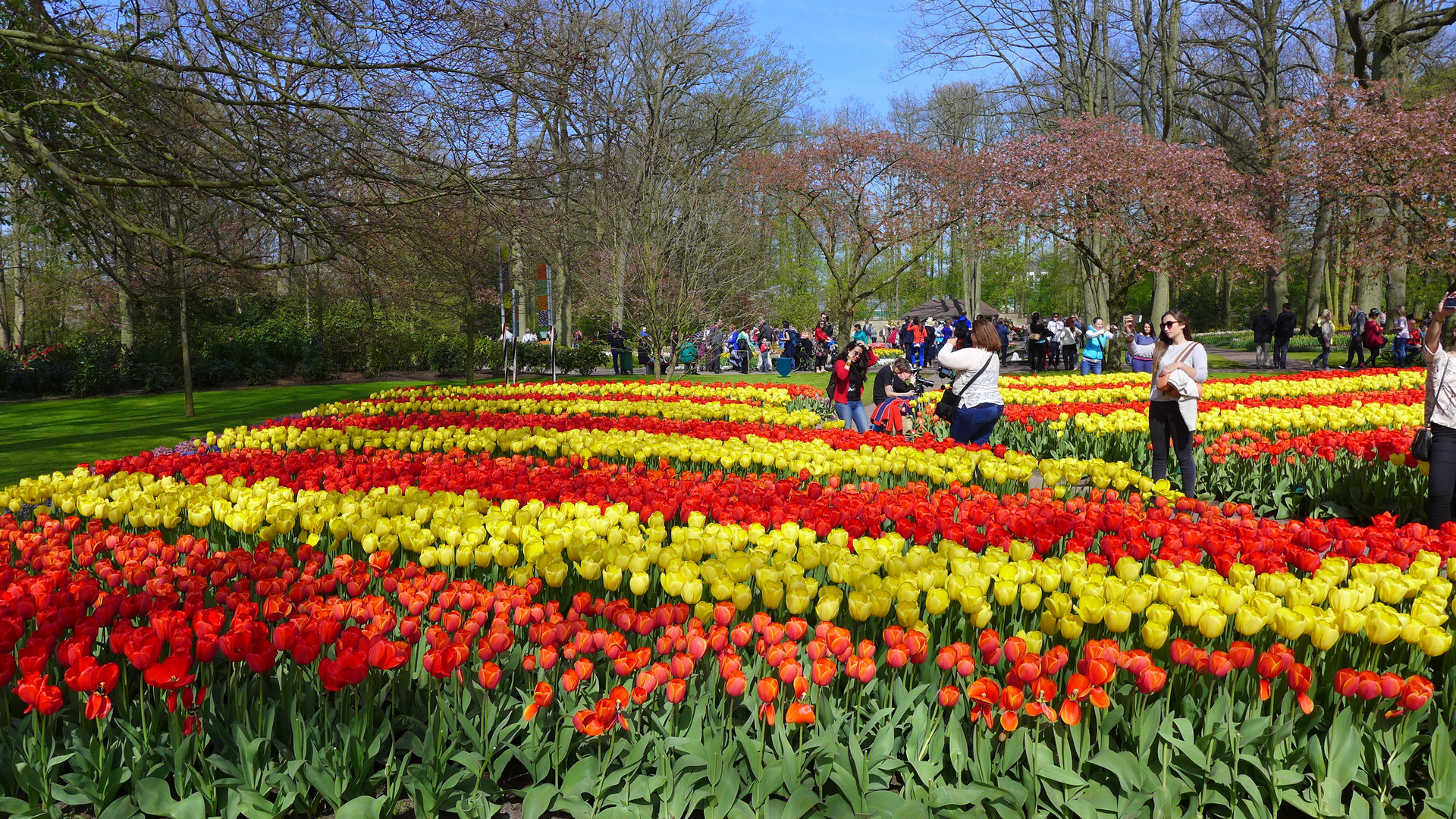 Zum Frühlingsanfang 2018