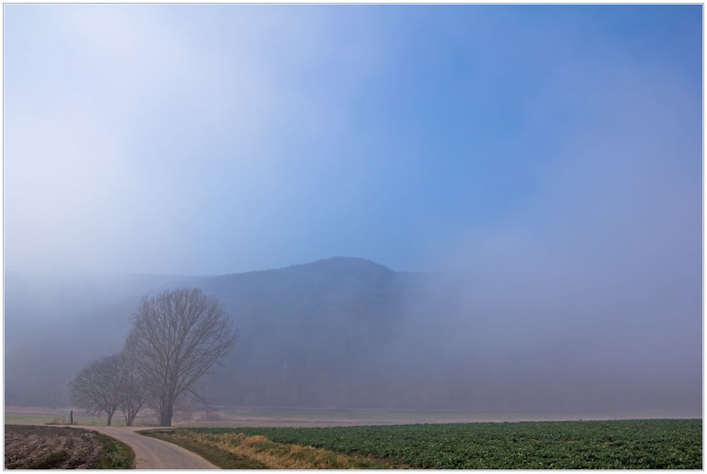 Zum Frühlingsanfang...