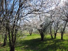 Zum Frühlingsanfang