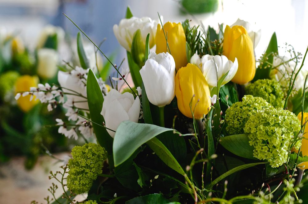 Zum Frühlingsanfang Foto & Bild | stillleben, arrangierte ...